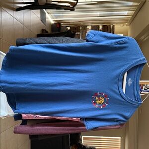 Hollister Blue Kids Tee with Embroidered Design